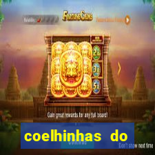 coelhinhas do brasil recife